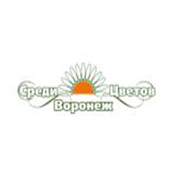 Каталог Магазина Среди Цветов В Воронеже